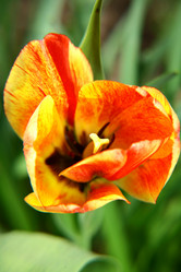 Similar image 642377