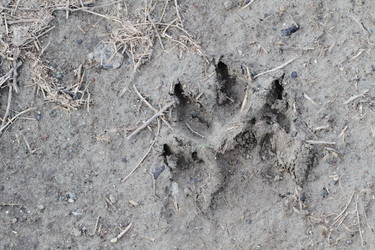 Similar image 642396