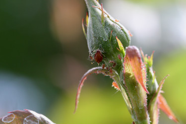 Similar image 642398