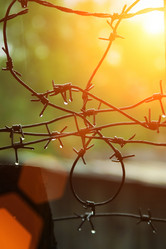 Similar image 642406