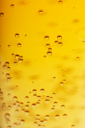 Similar image 642419