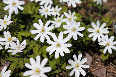 Similar image 642443