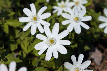 Similar image 642446