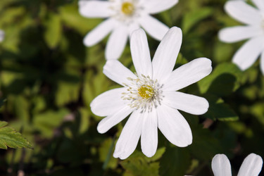 Similar image 642447