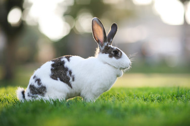 Similar image 642455