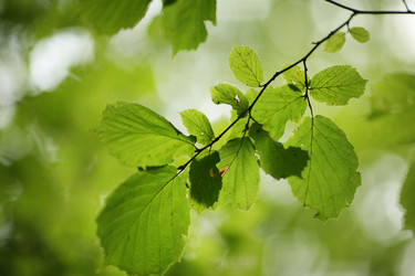 Similar image 642478