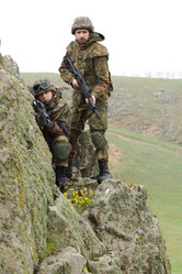 Similar image 642524