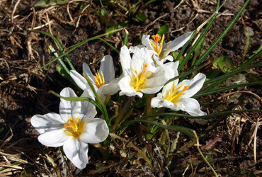 Similar image 642571