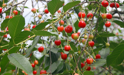 Similar image 642581