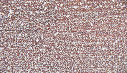 Similar image 642588