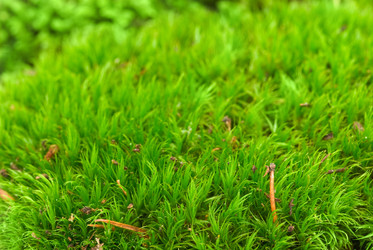 Similar image 642613