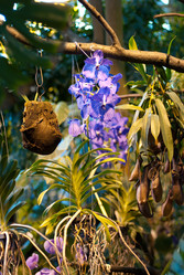 Similar image 642820