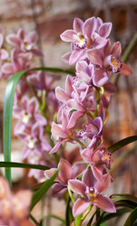 Similar image 642840