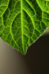 Similar image 642867