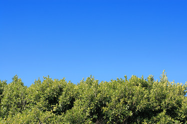 Similar image 642871