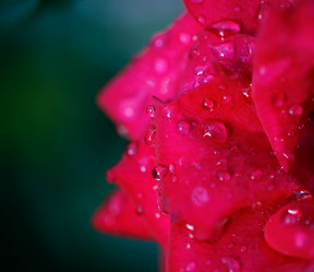 Similar image 642873