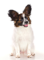 Similar image 642897