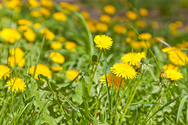 Similar image 642920