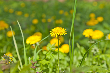 Similar image 642922