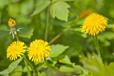 Similar image 642923