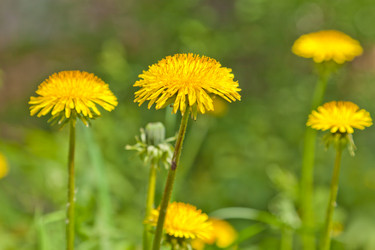 Similar image 642924