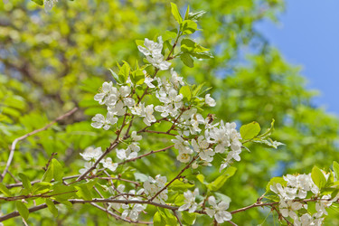 Similar image 642928