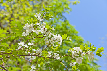 Similar image 642929