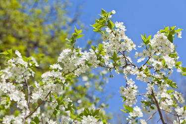 Similar image 642930