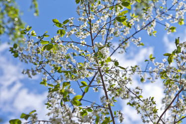 Similar image 642932