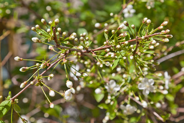 Similar image 642933