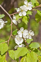 Similar image 642934