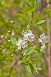 Similar image 642935