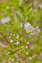 Similar image 642936