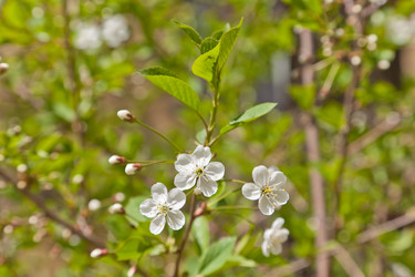 Similar image 642937