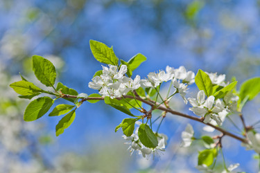 Similar image 642947