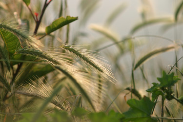 Similar image 642990