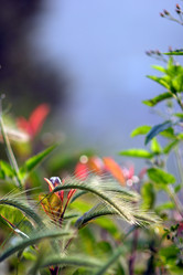 Similar image 642992