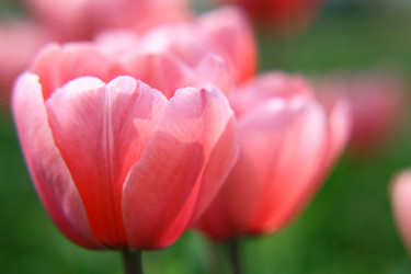 Similar image 643123