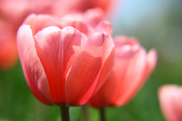 Similar image 643125