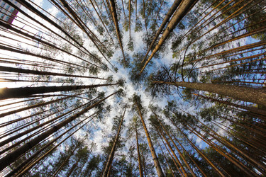 Similar image 643140