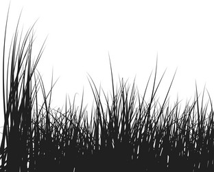 Similar image 643400