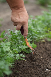 Similar image 643419