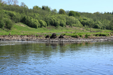 Similar image 643438