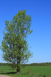 Similar image 643460