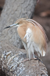 Similar image 643465