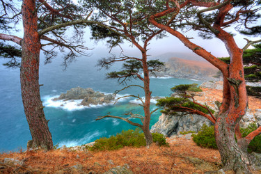 Similar image 643522