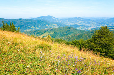 Similar image 643534