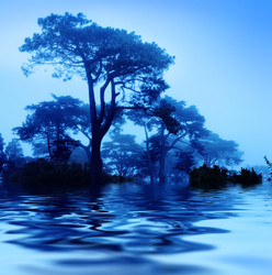 Similar image 643538