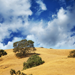 Similar image 643562