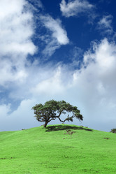 Similar image 643563